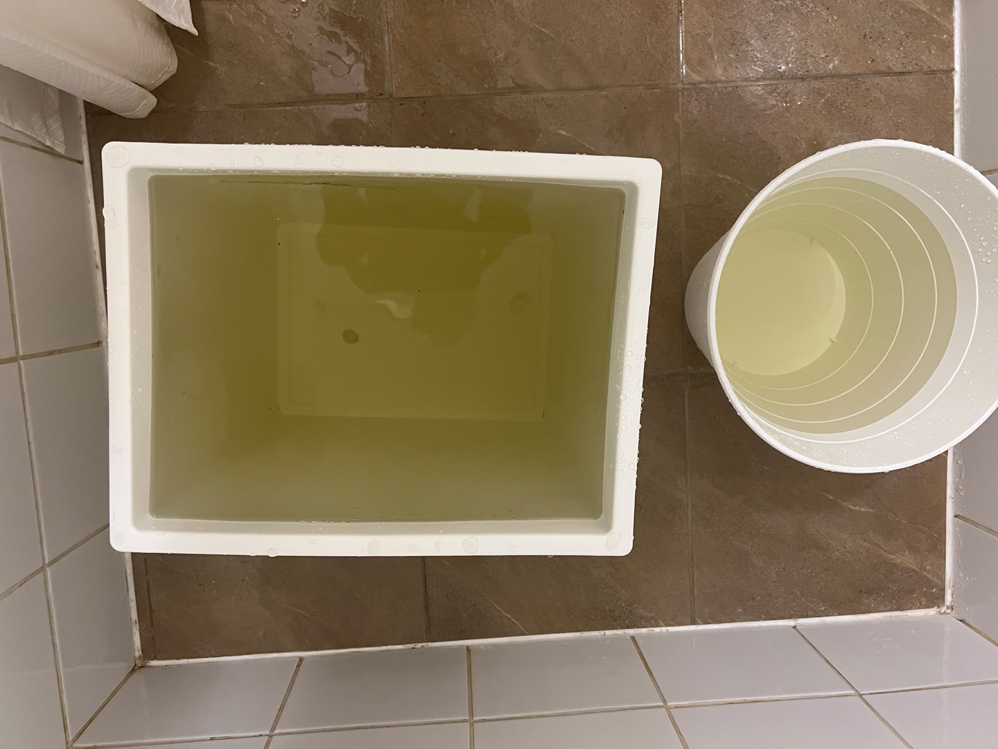 schreckliche Wasserqualität - terrible water quality